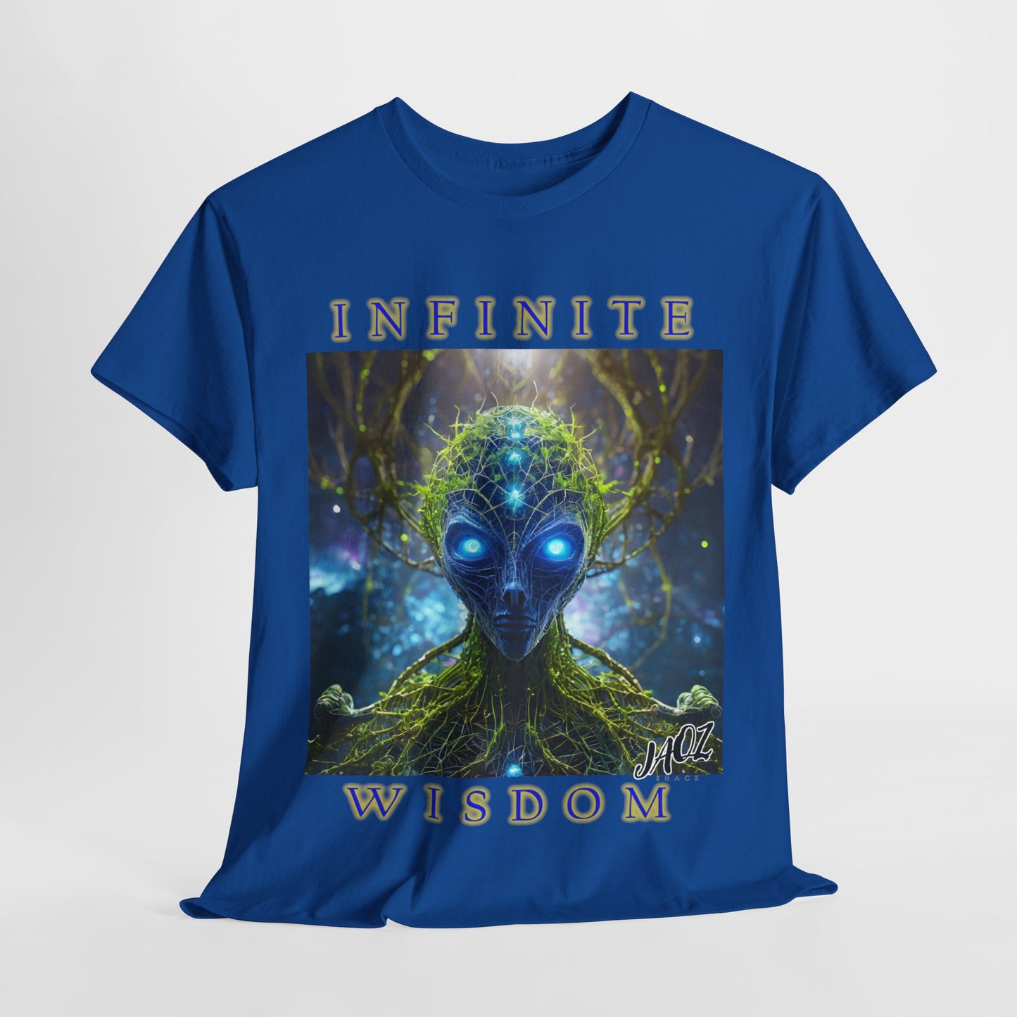 Infinite Wisdom Unique JAQZ Shack print Unisex Heavy Cotton Tee